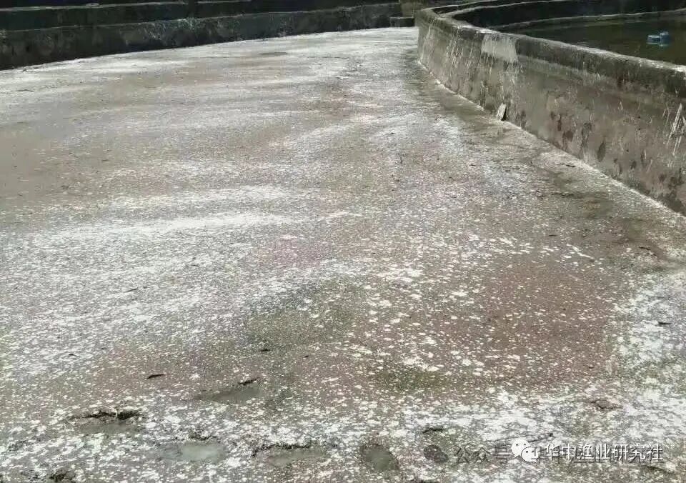 1765336081240119.jpg b5037b6016d41dbe0869f700a59e2956.jpg