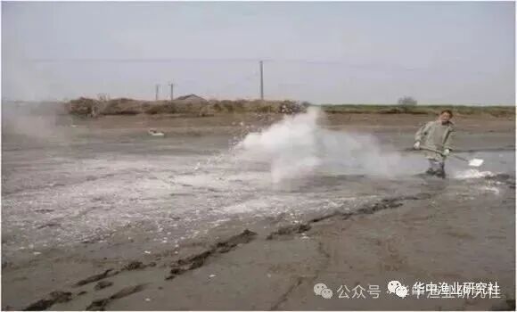 1765336097956338.jpg f4f7e4a656524b00c35241cca2486c46.jpg