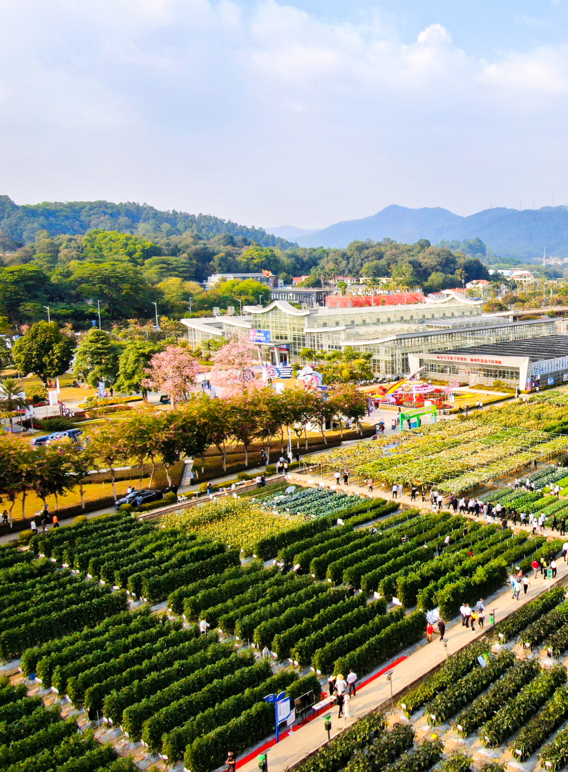 1765420079616520.png 6.png