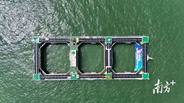 1765420669900743.jpg 1.jpg