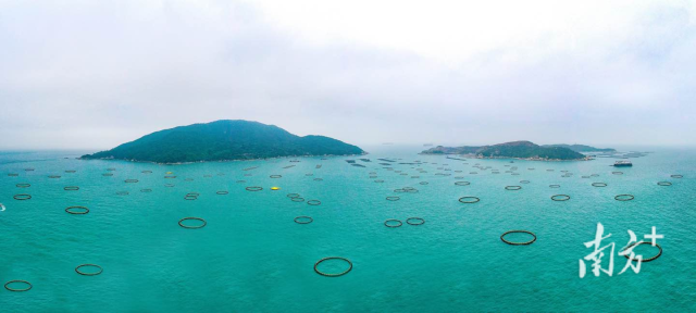 1765420714592593.png 2.png