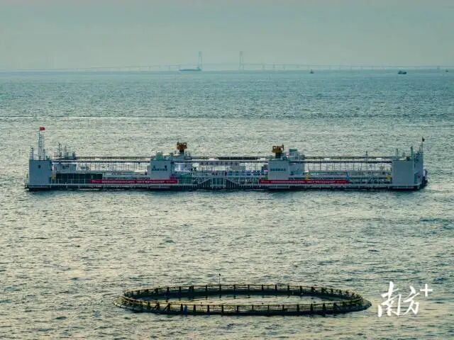 1765420871333100.jpg 5.jpg