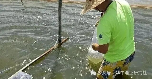 1765421435581841.jpg 4.jpg