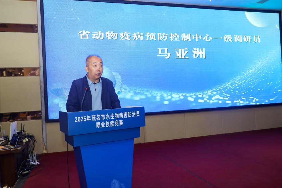 1765437901303490.png 图片2.png