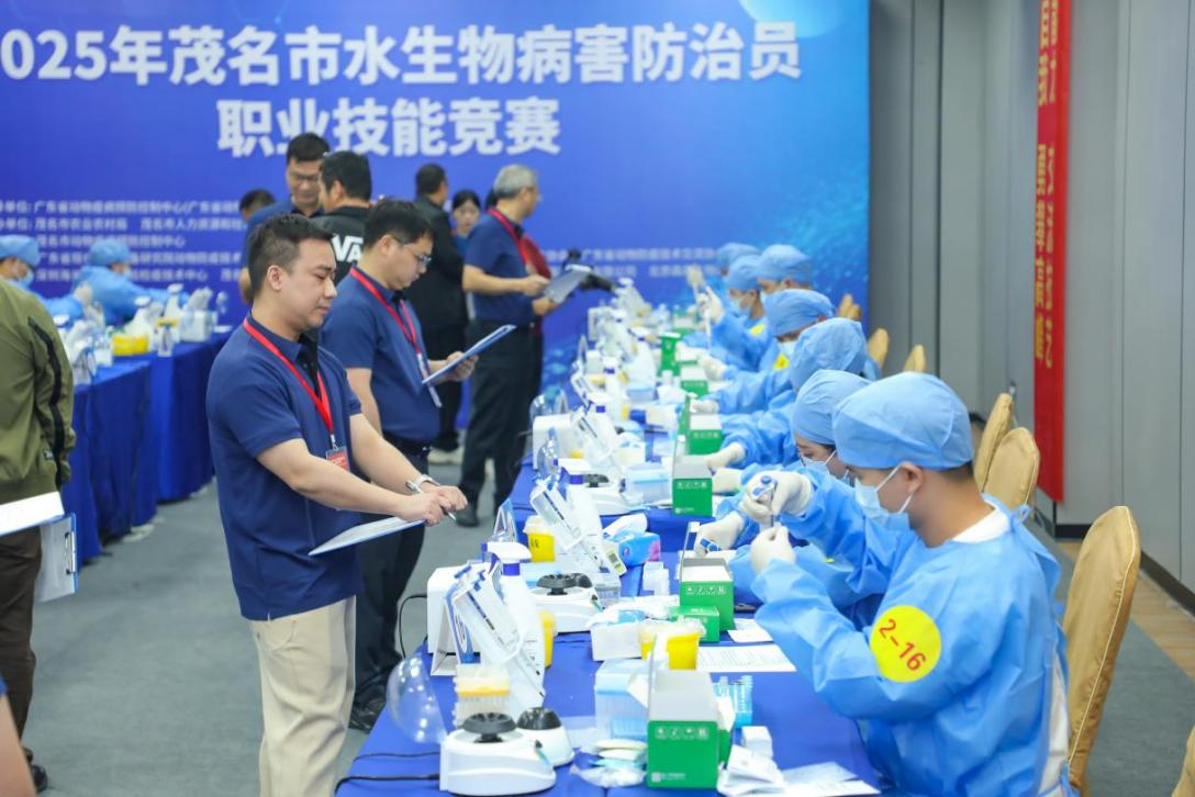 1765438076786548.png 图片4.png