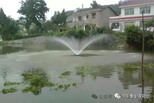 1765507479294925.jpg 4.jpg