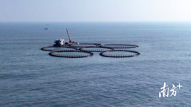 1765849684187577.png 3.png