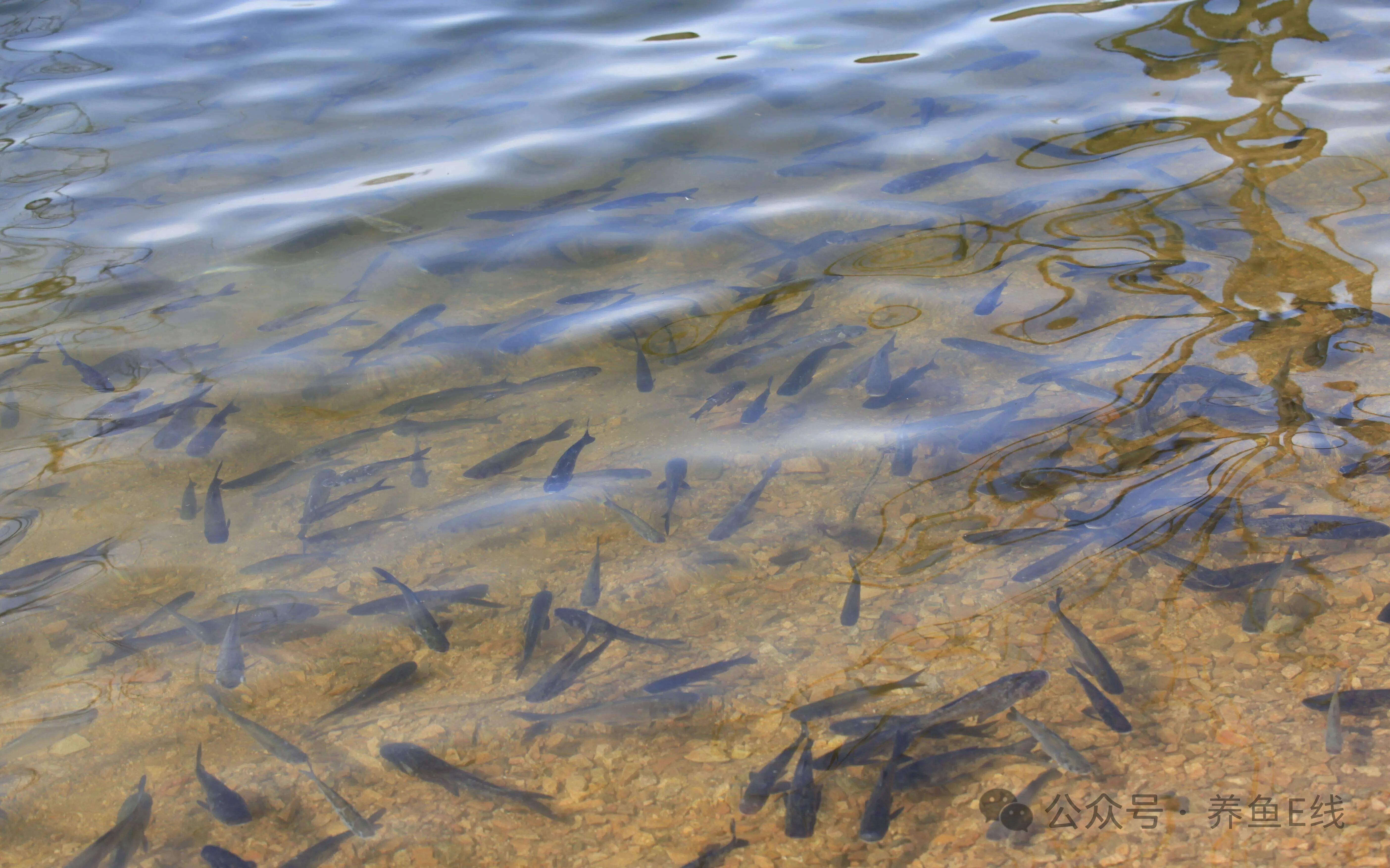 1765851003482020.jpg 3.jpg