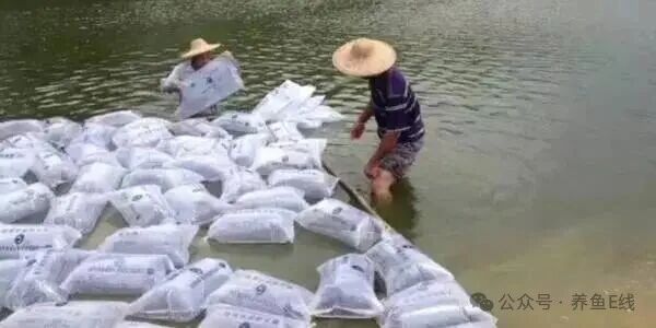 1765851018506029.jpg 4.jpg