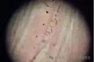 1765852799706081.jpg 6.jpg