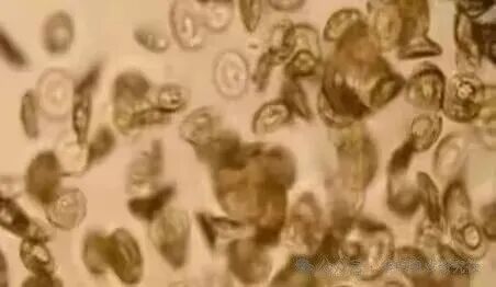 1765853000174695.jpg 9.jpg