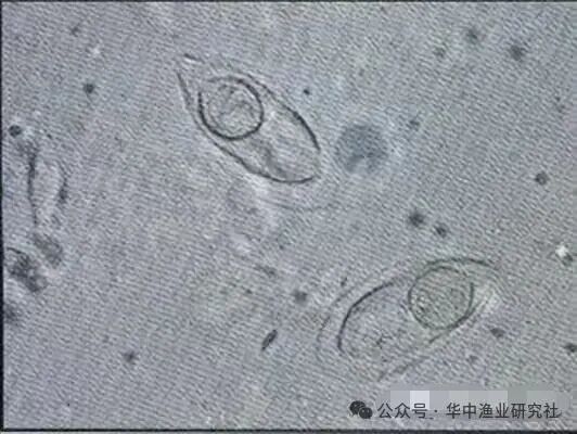 1765853276986112.jpg 22.jpg