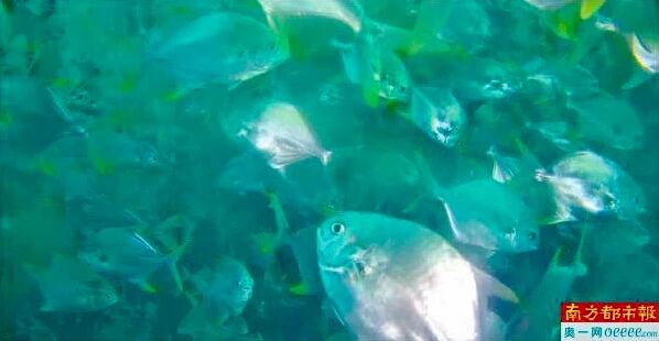 1766457112408438.jpg 2.jpg