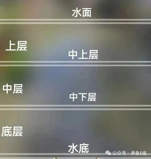 1766460469520351.jpg 2.jpg