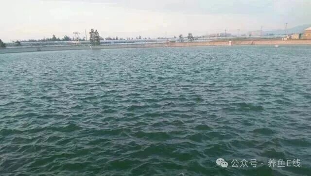 1766460488337039.jpg 3.jpg