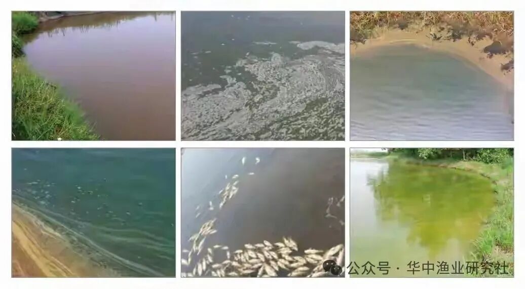 1766717554802078.jpg 1.jpg