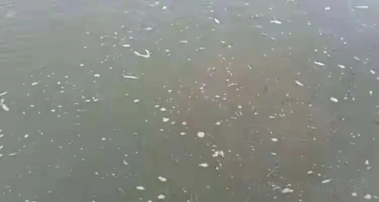 1766717568214348.jpg 2.jpg