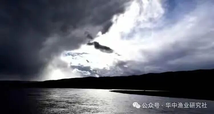 1766717582657911.jpg 3.jpg