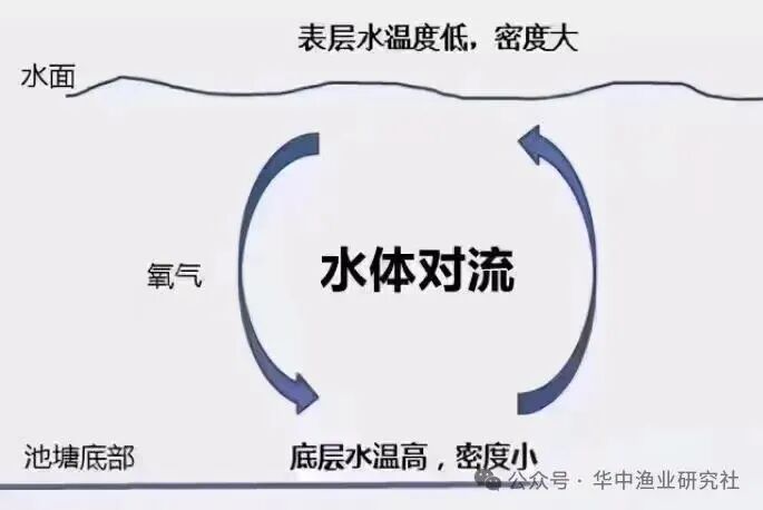 1766717610539441.jpg 5.jpg