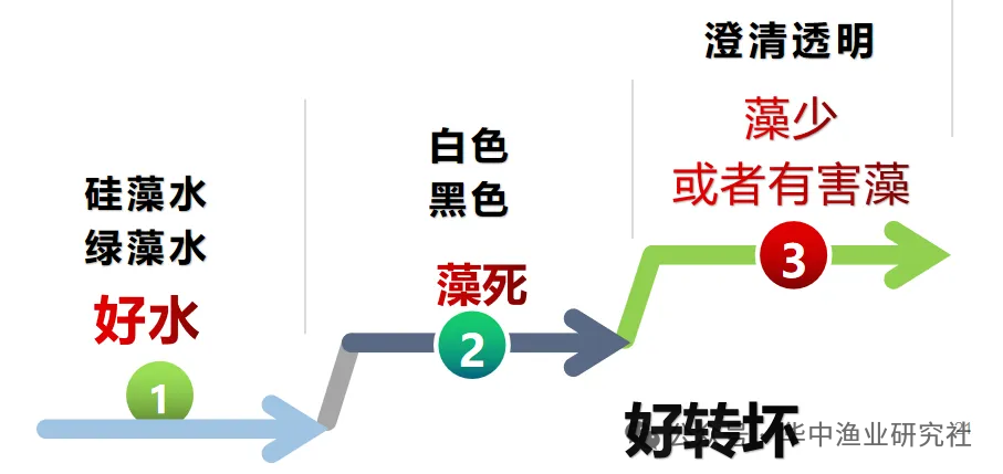 1766717655414661.png 7.png