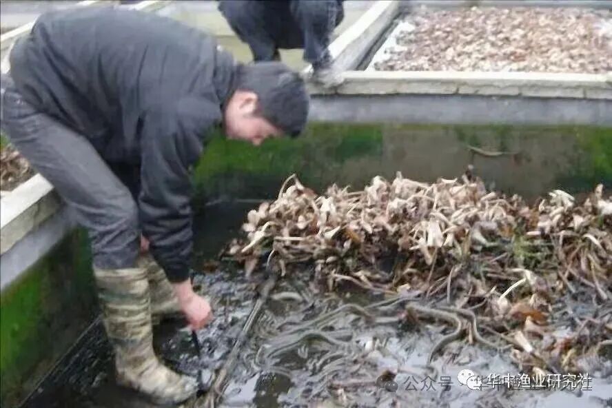 1766976042287368.jpg 1.jpg