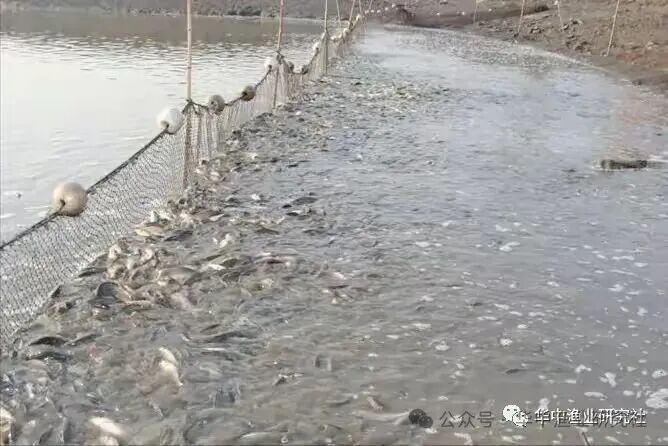 1766976077153574.jpg 4.jpg