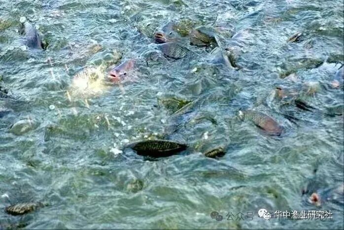 1766976101757015.jpg 6.jpg