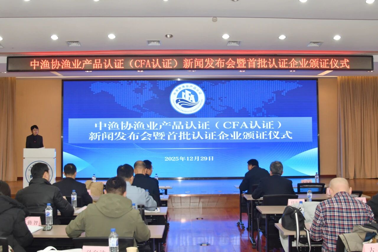 1767061864918332.jpg 1.jpg