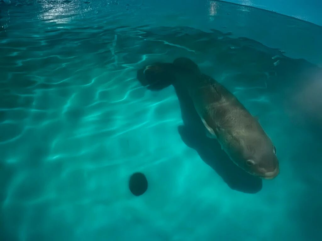 1767062342747319.jpg 1.jpg