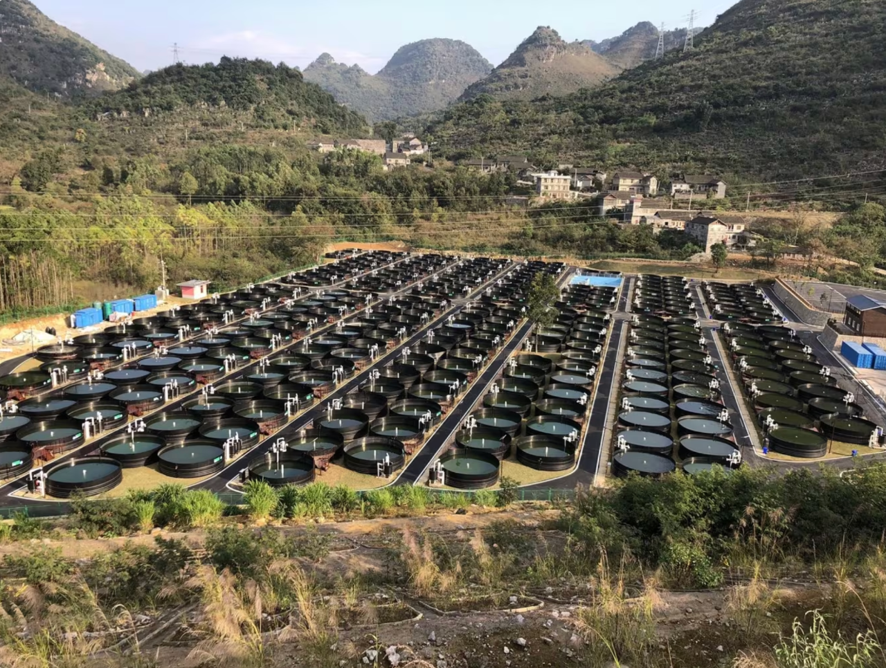 1767062381313842.png 3.png