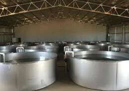 1767062599664689.jpg 8.jpg