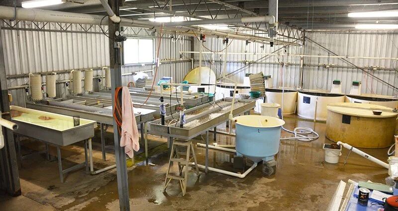 1767062632464871.jpg 7.jpg