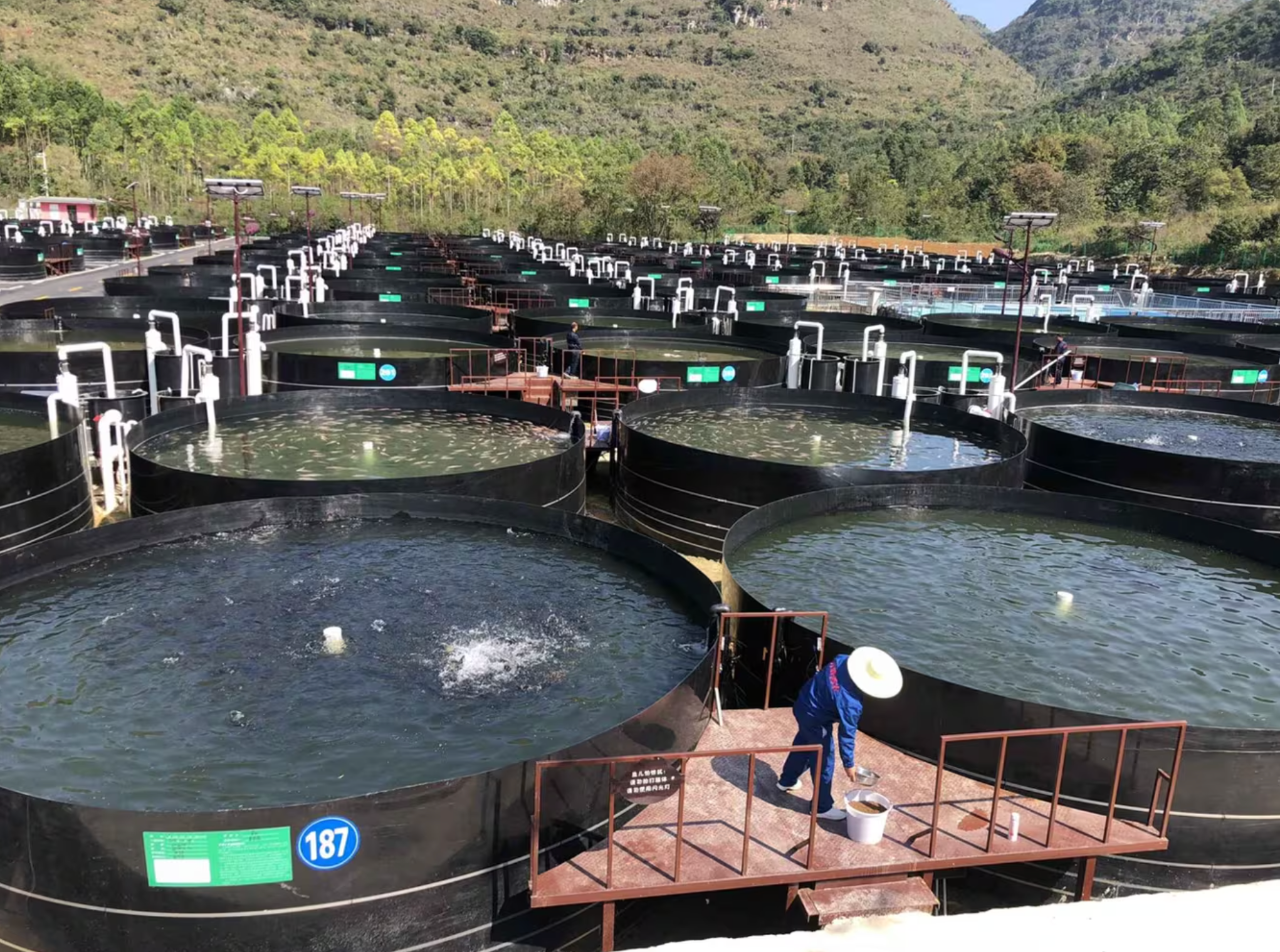 1767062671191645.png 10.png