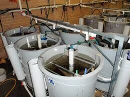 1767062822960249.jpg 123.jpg