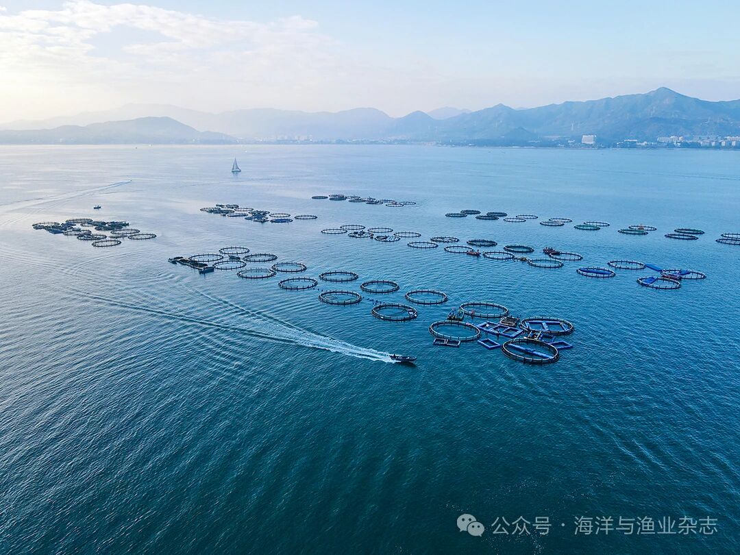 1767150386479902.jpg 7d013facb94dc6c7710f475c4eede79d.jpg