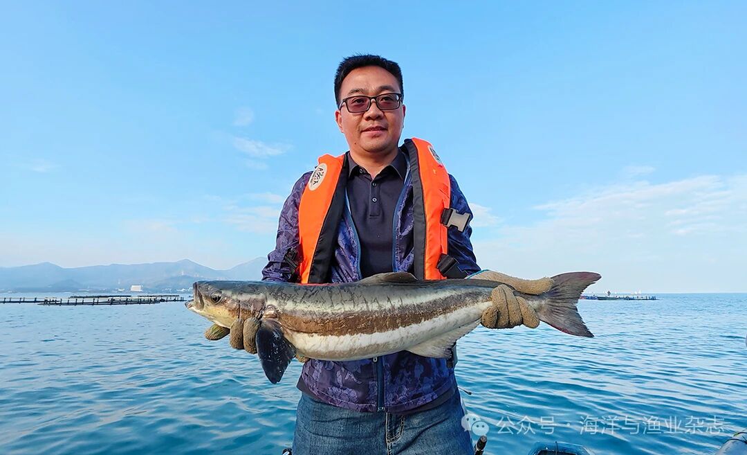 1767150401677375.jpg 3c9952b67804327ea885b08e75068e60.jpg