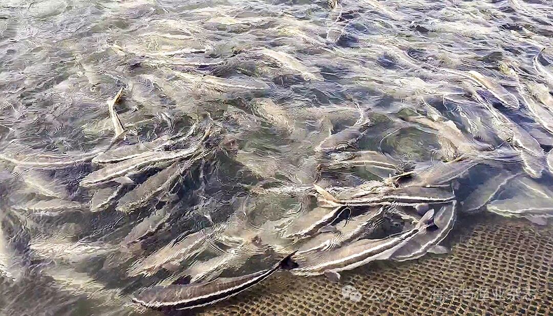 1767150467859401.jpg 12533be63943e850be1ddc0e923e46bd.jpg