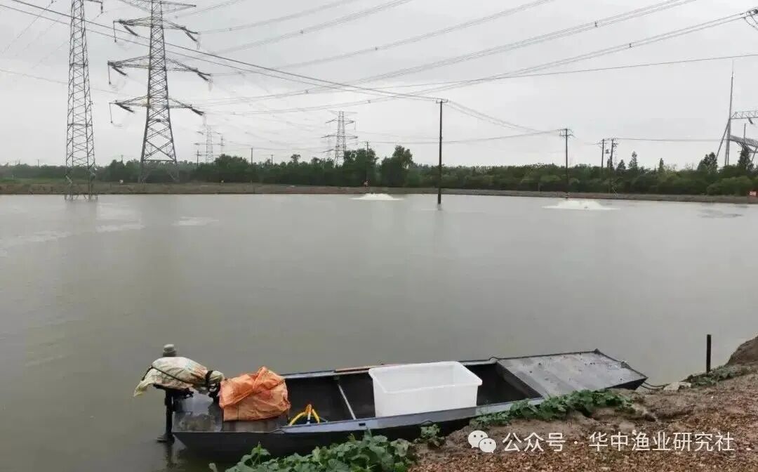 1767150914737591.jpg 6175e19f3353f6c797b238bf10a336bc.jpg