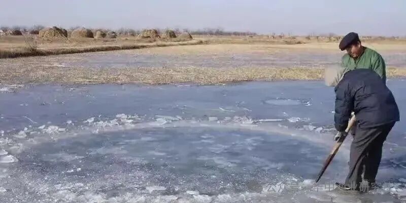 1767150949823716.jpg 659cacc4871d477b55c1f6fe48be3a24.jpg