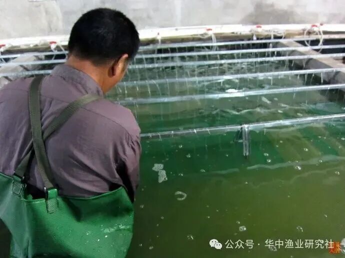 1767495459347854.jpg 8104e0b2d57c10f778935051b12a5076.jpg