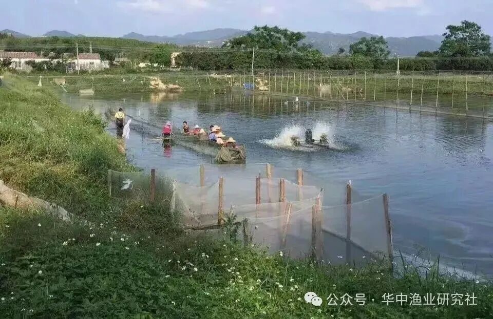 1767495483248172.jpg 9dbf4429491b5513c8d7d7e76e48f579.jpg