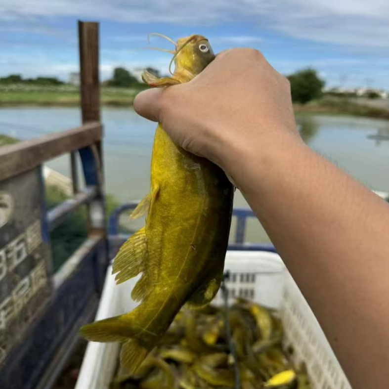 1767582715931647.png 1.png