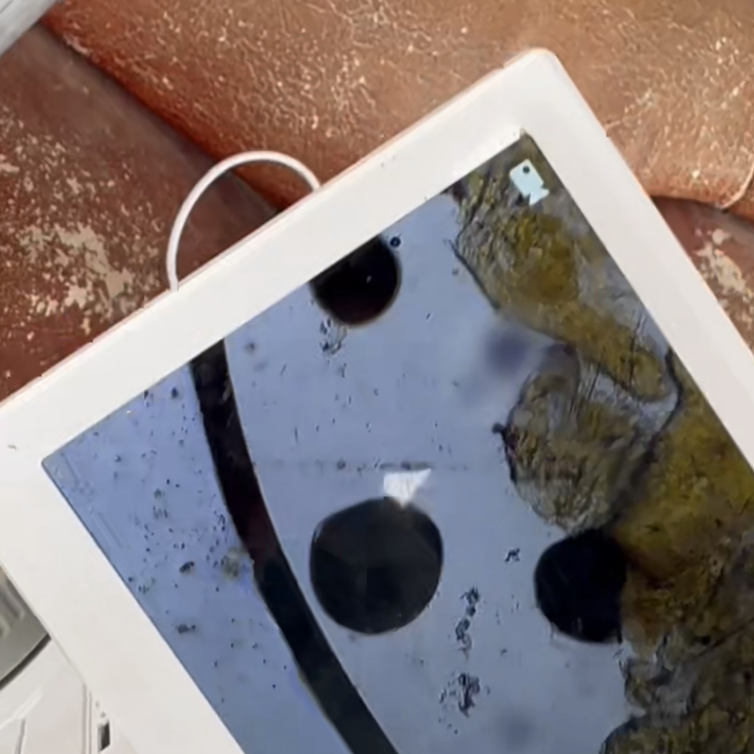 1767582756270844.png 3.png