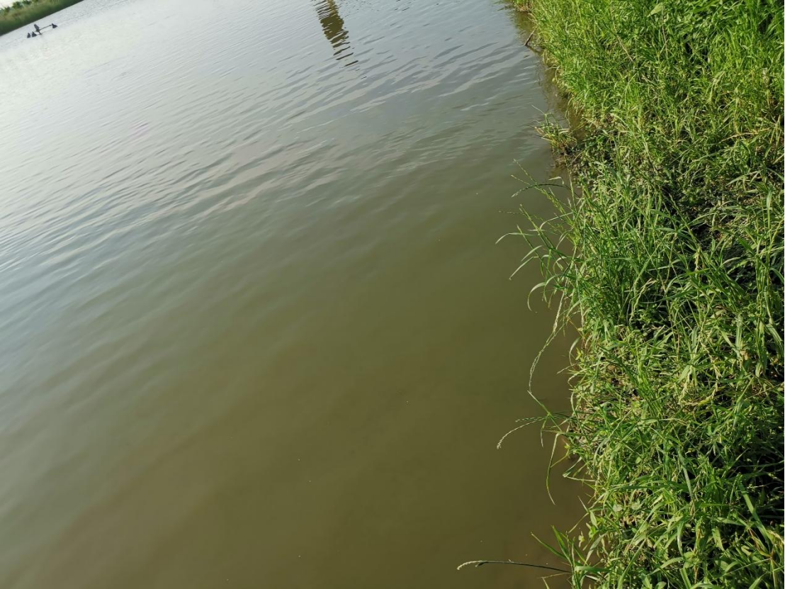 1767582772306684.png 4.png