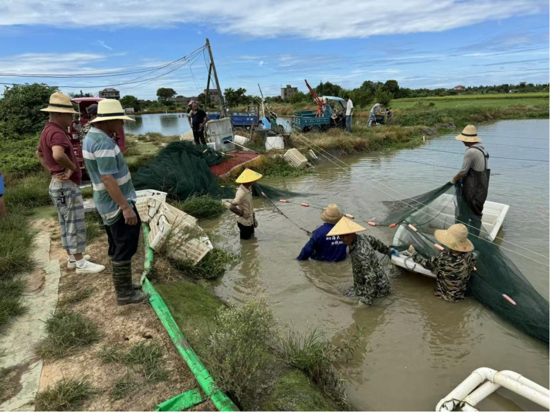 1767582788445002.png 5.png