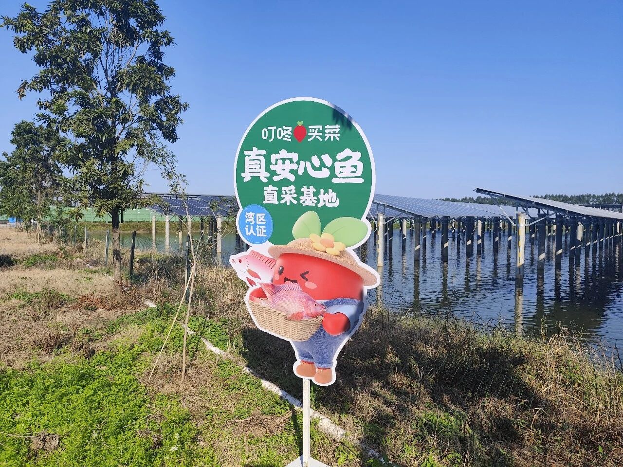 1767584035129645.jpg 4.jpg