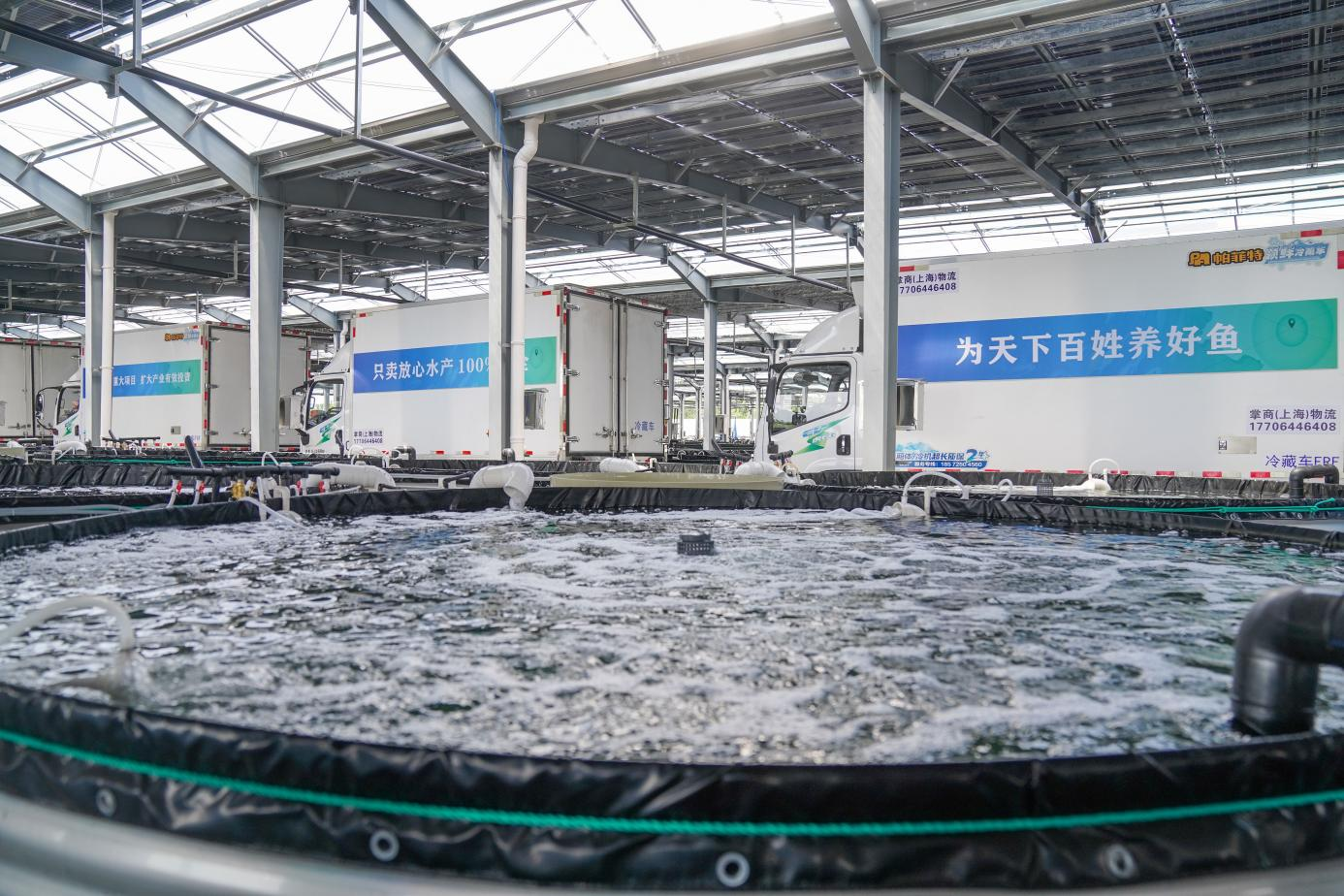 1767584076763906.png 6.png