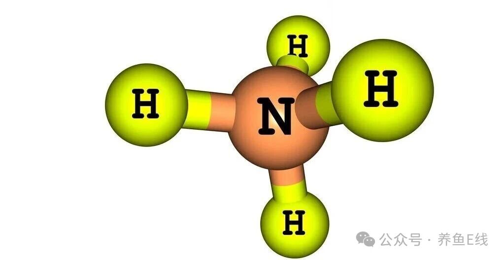 1767669587624316.jpg 1.jpg