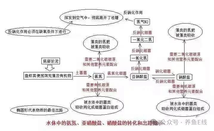 1767669605889244.jpg 2.jpg