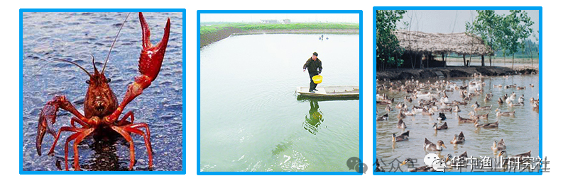 1767757737394715.png 68aaae8462f4b54a84ac83b32f49b12d.png